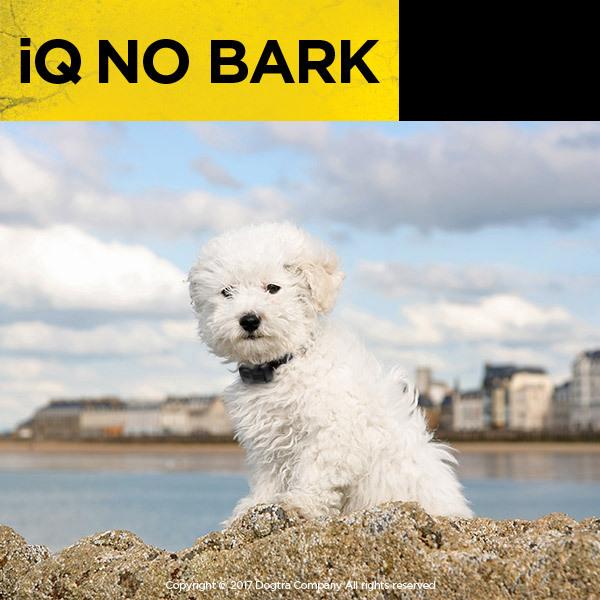 しつけ 首輪 DOGTRA ドクトラ iQ ノーバーク 送料無料 犬 トレーニング