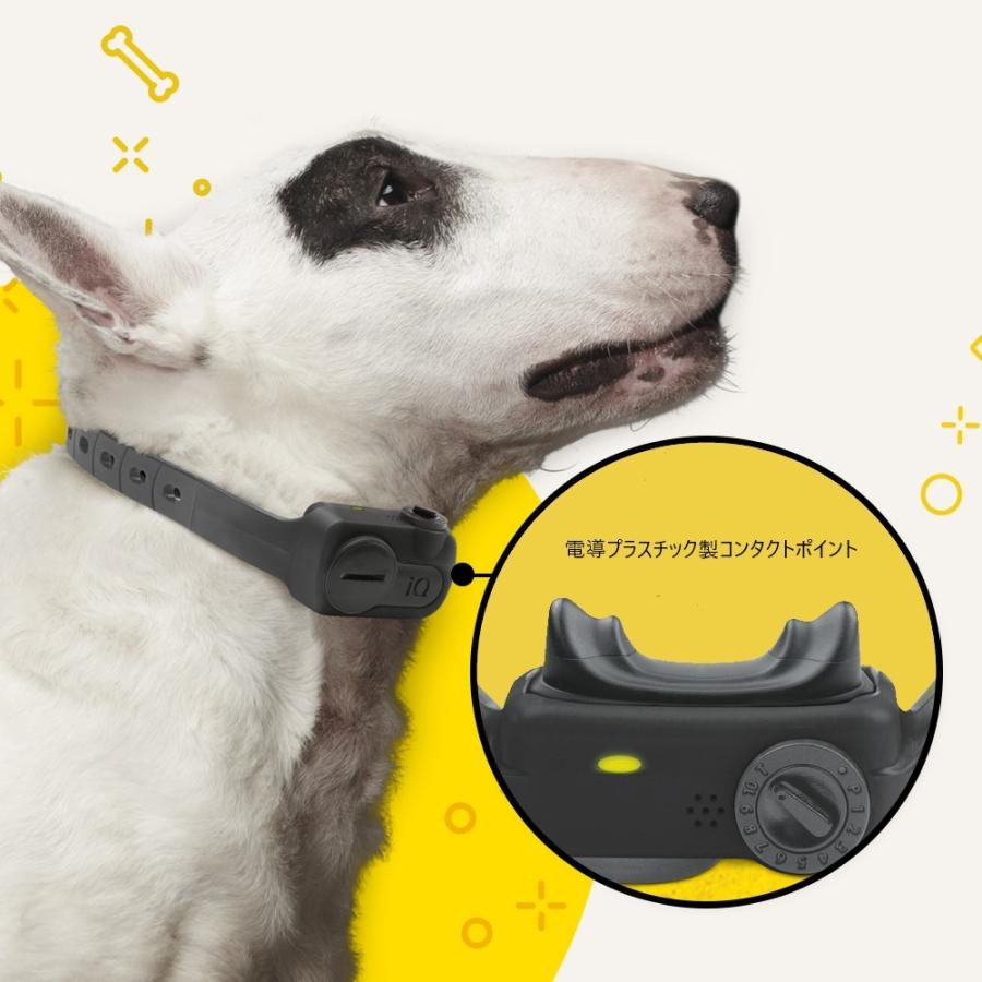 しつけ 首輪 DOGTRA ドクトラ iQ ノーバーク 送料無料 犬