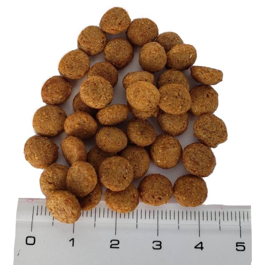 ドッグフード 国産 小粒 10kg お得 小型犬 ゼット プレミアム ドッグフード 国産 小粒 10kg お得 小型犬 ゼット プレミアム