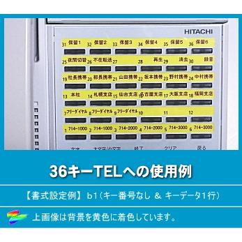 NTT EPH-G TEL用 示名条片作成シート 20台分セット 【 LS-HT03 NTT EPH-G TEL用 示名条片作成シート 20台分セット 【 LS-HT03