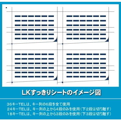 NTT αZX用 LKすっきりシート 100台分セット 【 LS-NT06-100 NTT αZX用 LKすっきりシート 100台分セット 【 LS-NT06-100