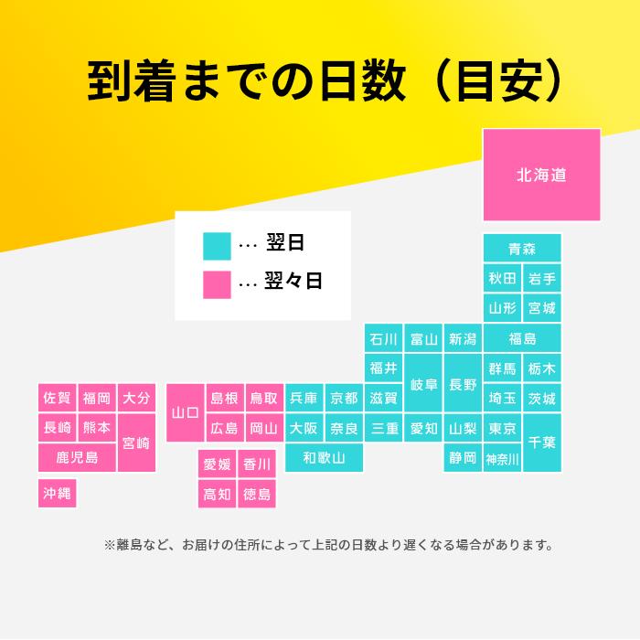 【送料無料&24時間以内に発送】とんねるずフーディー2点セット※単体売り不可 アドワン® ワイド＆ハーフ フォルダー 一件楽着® （タイトル