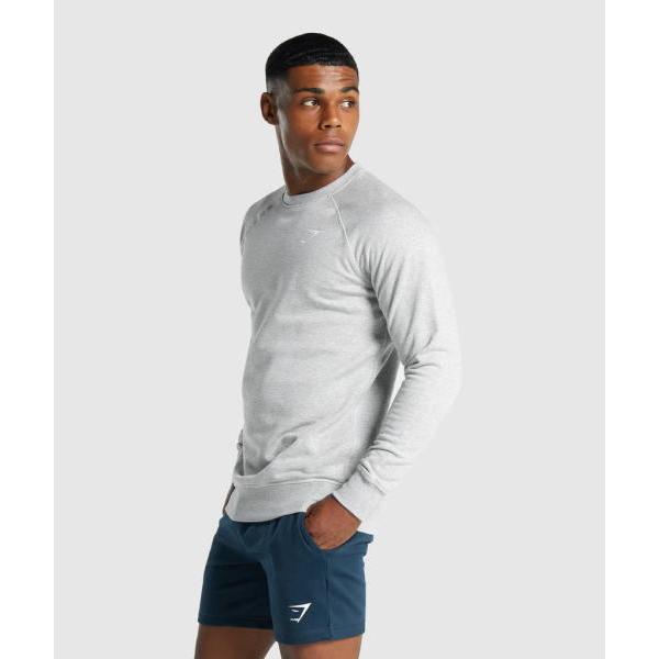 ジムシャーク スウェット メンズ ボディビル トレーナー ラグラン