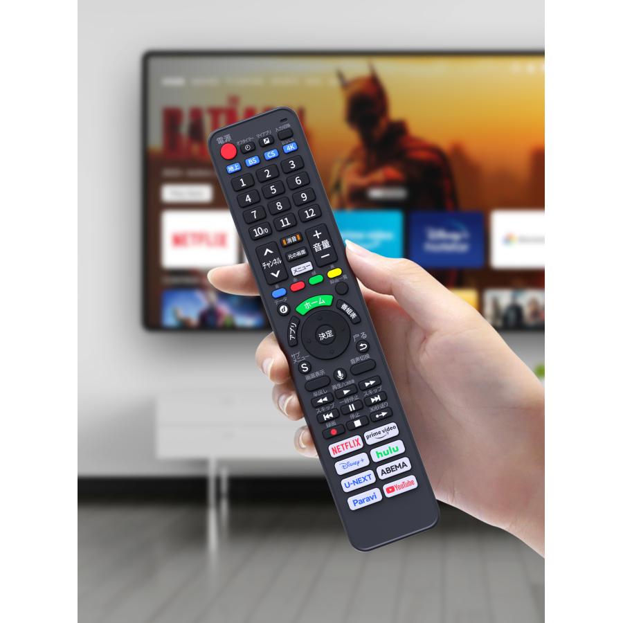 AVTVA N2QBYA000055 Panasonic 用の ビエラリモコン 音声機能付き TH