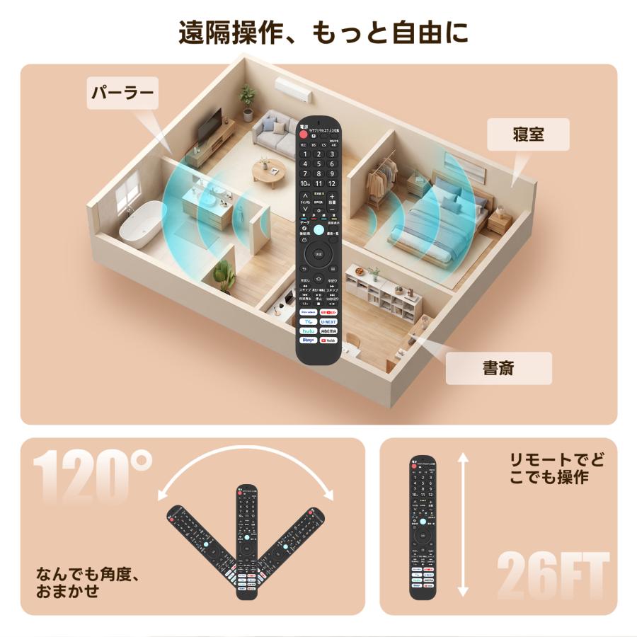 AVTVA N2QBYA000078 パナソニッ ク Panasonic用のテレビリモコン TV