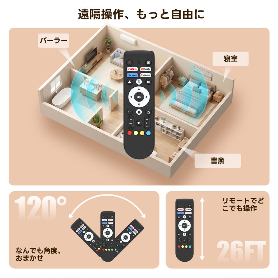 AVTVA FPD用のテレビリモコン スマート テレビ43V型 50V型 55V型 65V型