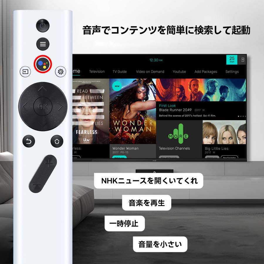 AVTVA XGIMI 用の プロジェクターリモコン Halo/Halo+ Elfin/Mogo Pro