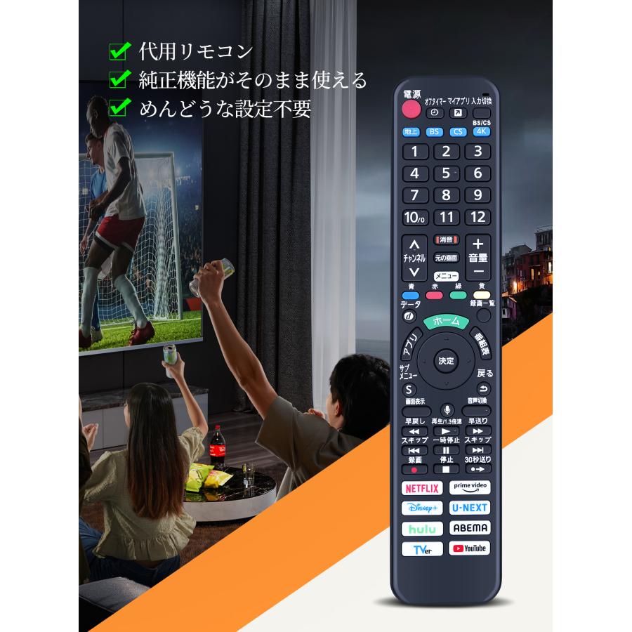 AVTVA N2QBYA000075 Panasonic 用の テレビリモコン ビエラリモコン