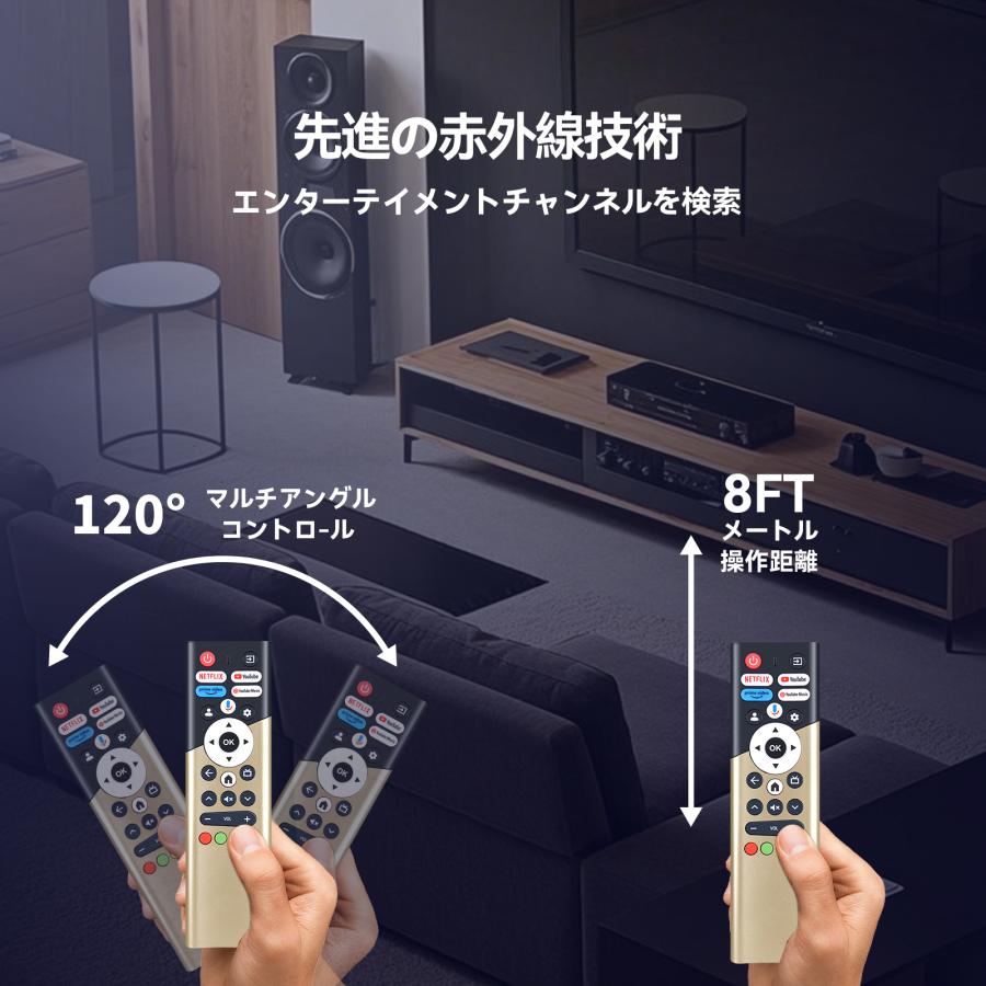 ORIONAC/DC 06-VT1 ポータブル液晶テレビデオ2時電源リモコン付き AVTVA DOSHISHA 用の テレビリモコン 音声認識機能つき TL-2402FHD TL