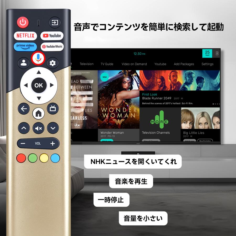 AVTVA DOSHISHA 用の テレビリモコン 音声認識機能つき TL-2402FHD TL