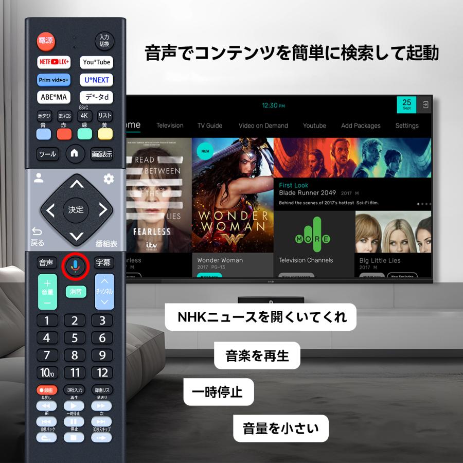 AVTVA Orion オリオン 用の テレビリモコン 音声機能付き Orion