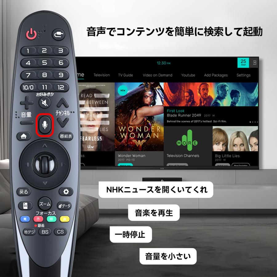 AVTVA AN-MR18BA LG 用の マジックリモコン 音声機能付き OLED 77W8PJA