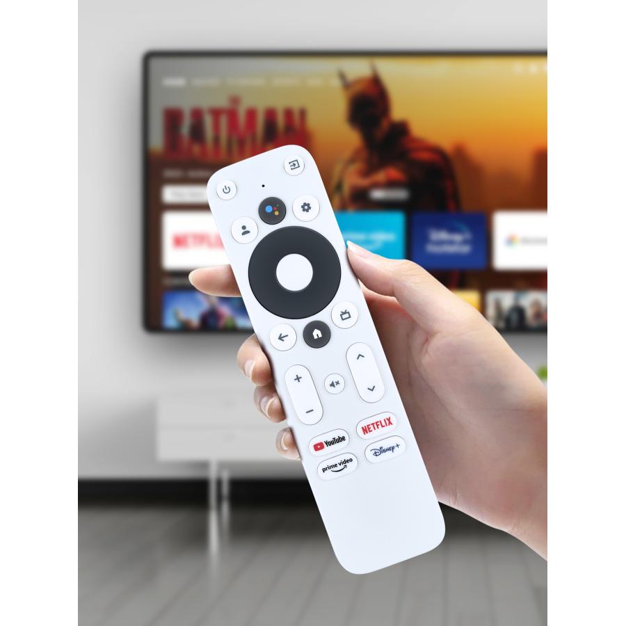 液晶テレビ 本体 リモコン・ケーブル付き AVTVA REGZA 4K Google TV Stick 用の テレビリモコン RSG-11B 対応