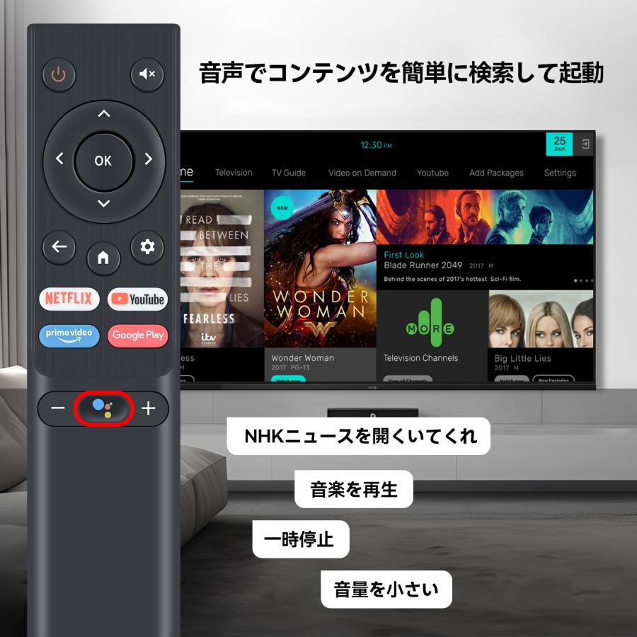 AVTVA RR-001 Orion オリオン 用の テレビリモコン 音声機能付き