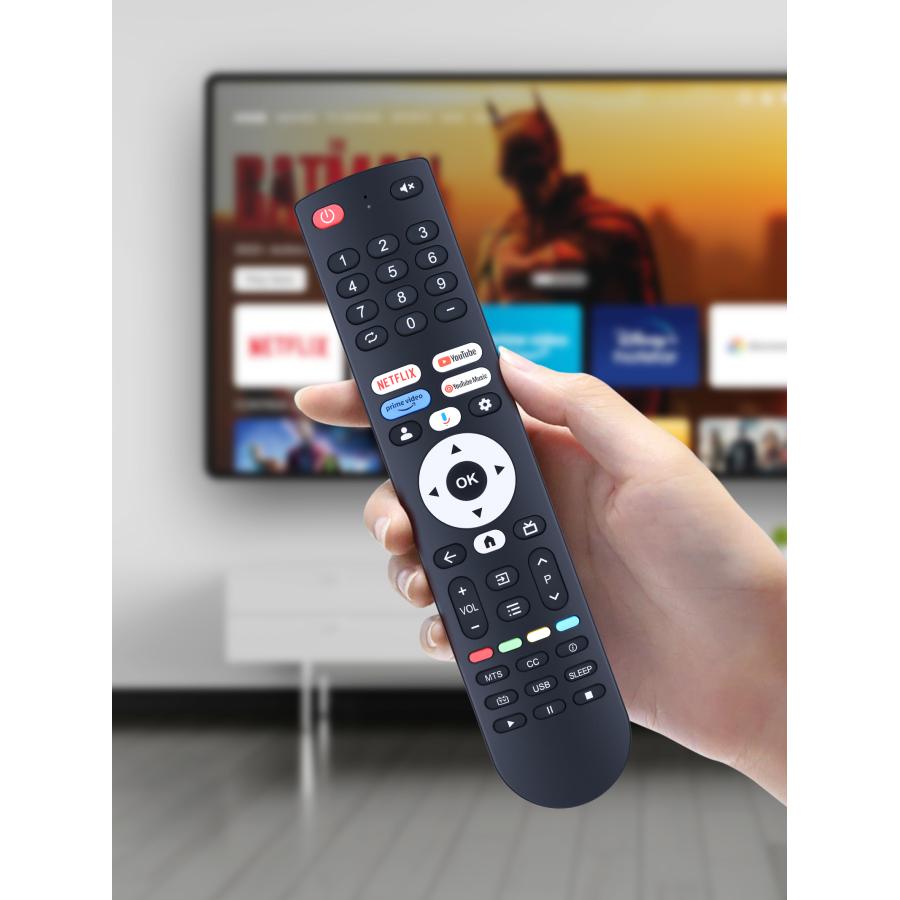液晶テレビリモコン無し AVTVA FPD 用の チューナーレステレビリモコン 50/55/65/70/75インチ