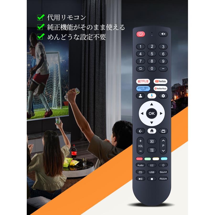 AVTVA FPD 用の チューナーレステレビリモコン 32/40/43インチ Google