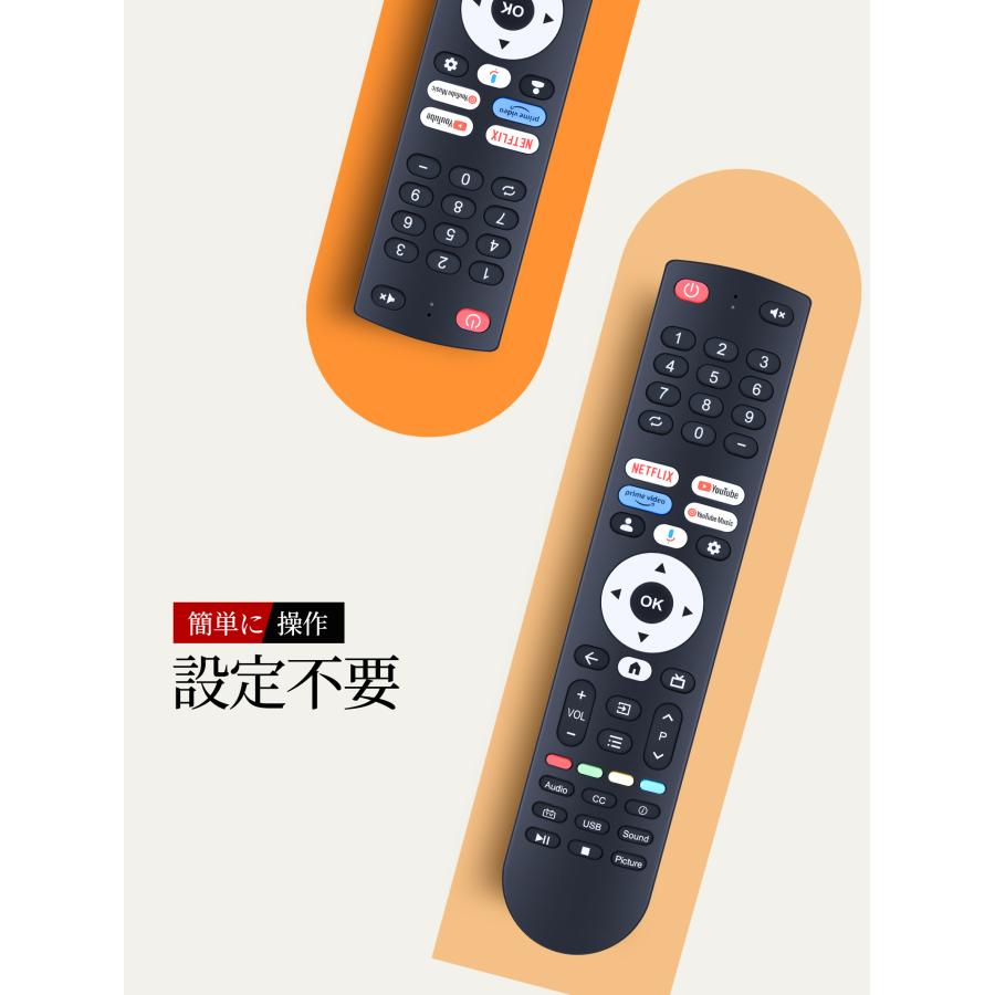 AVTVA FPD 用の チューナーレステレビリモコン 32/40/43インチ Google