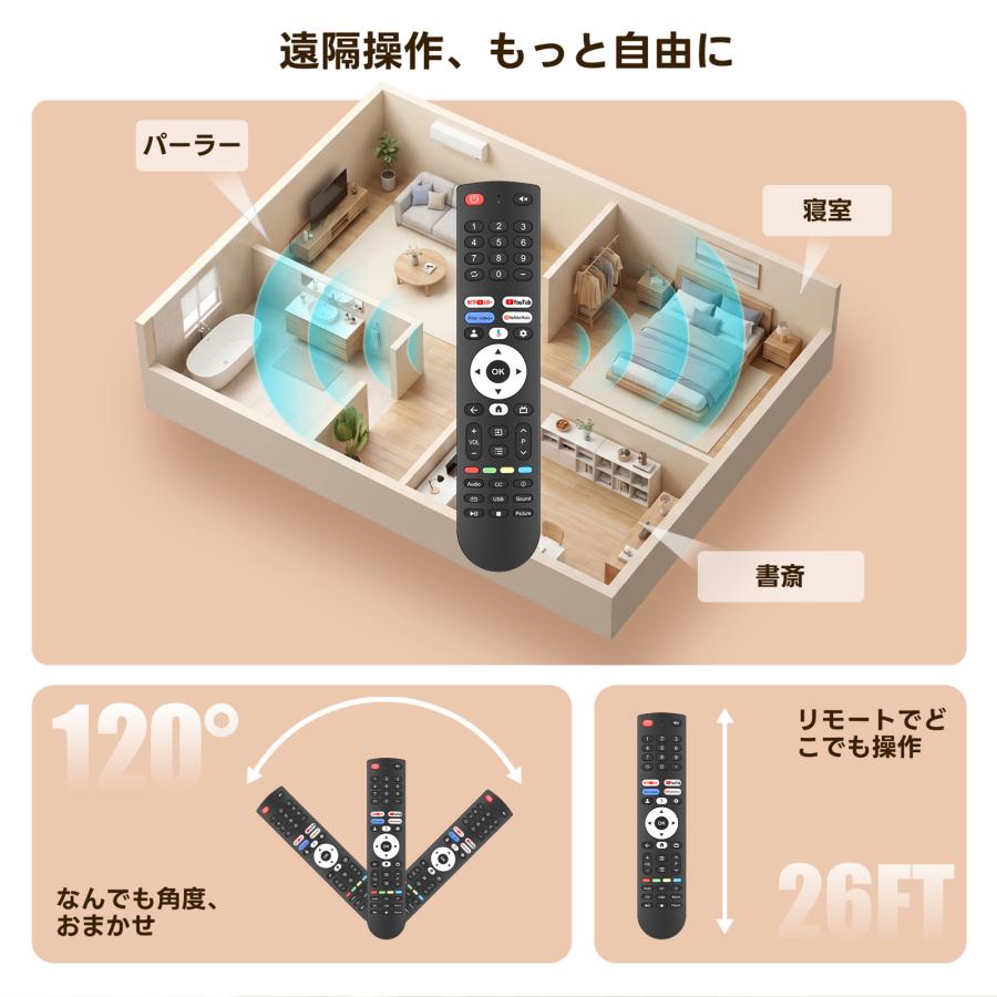 AVTVA FPD用のチューナーレステレビリモコン 音声機能付き 互換品 CG40