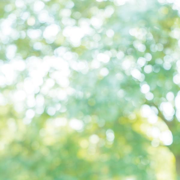 ブレンド エッセンシャルオイル 昼用ブレンド 30m l アロマオイル 精油 |  | 01