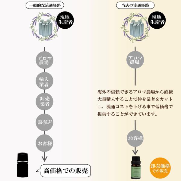 ヒノキ 10ml エッセンシャルオイル アロマ 精油 AEAJ表示基準適合認定精油 |  | 04