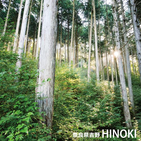 ユズ精油 ヒノキ精油 天然アロマ アロマスプレー 2点セット(30ml×2)  アロマ スプレー精油 リラックス ルームフレグランス ルームスプレー ピローミスト マスク |  | 04