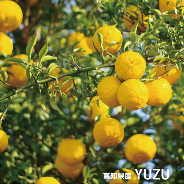 ユズ精油 ヒノキ精油 天然アロマ アロマスプレー 2点セット(30ml×2)  アロマ スプレー精油 リラックス ルームフレグランス ルームスプレー ピローミスト マスク |  | 05