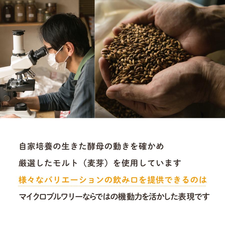 【期間限定】ESB×6本/クラフトビール/無濾過/酵母/ジグザグブルワリー/ZIGZAGブルワリー/丹波篠山 |  | 05