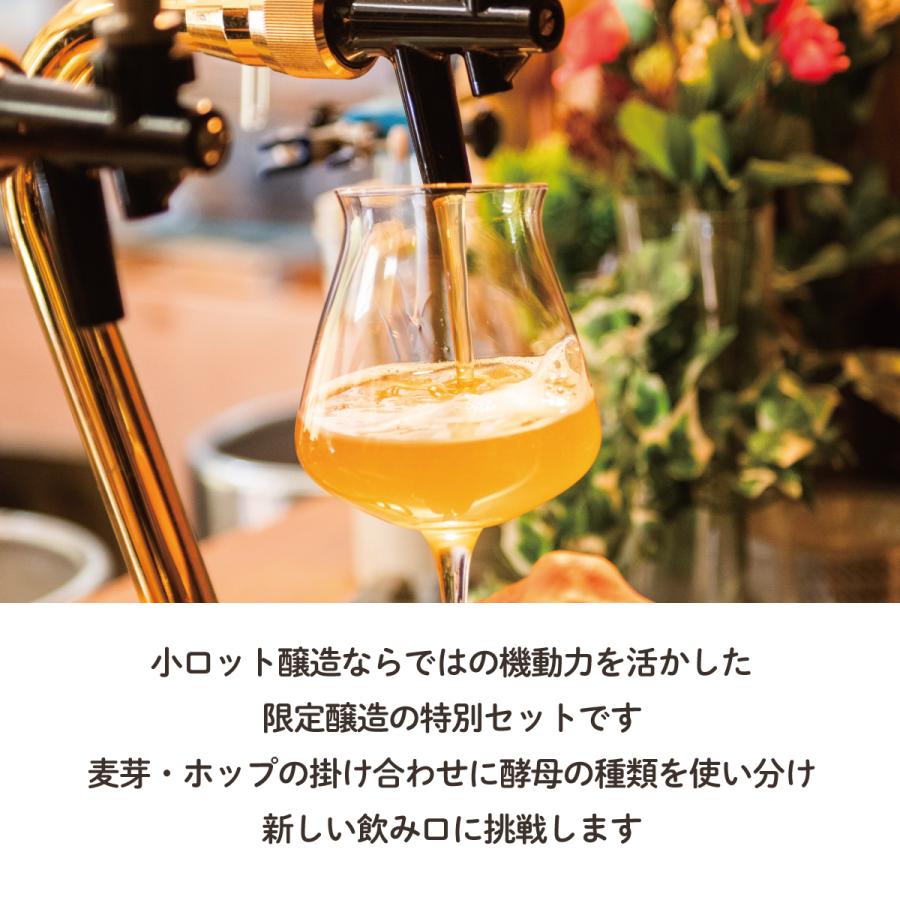 ZIGZAGブルワリー芳香&フルボディ６本セット/クラフトビール/無濾過/酵母/ジグザグブルワリー/ZIGZAGブルワリー/丹波篠山 |  | 08