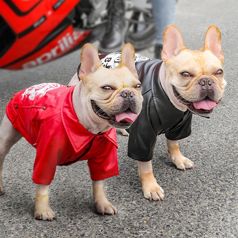 300円off クーポン 配布中 犬服 中型犬用 ドッグウェア スケートボード スケボー レザージャケット風 ブルゾン 送料無料 ブルドッグ パグ フレブル Ziimo Co Yahoo 店 通販 Yahoo ショッピング