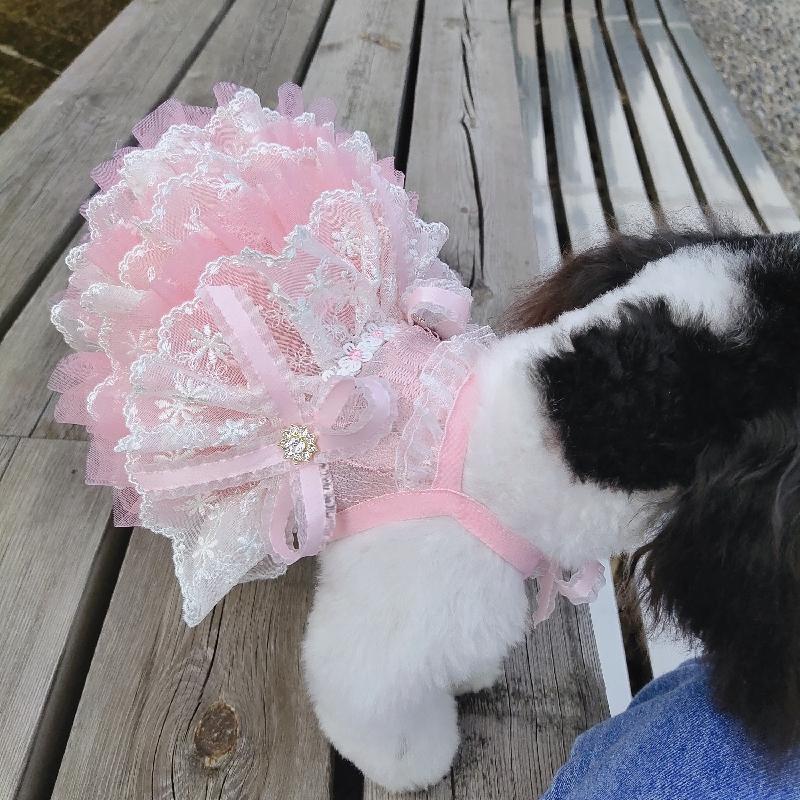 300円off クーポン 配布中 犬服 ドッグウェア ドレス キャミソール ティアード ワンピース レース チュールスカート 送料無料 衣装 イベント服 リボン Ziimo Co Yahoo 店 通販 Yahoo ショッピング