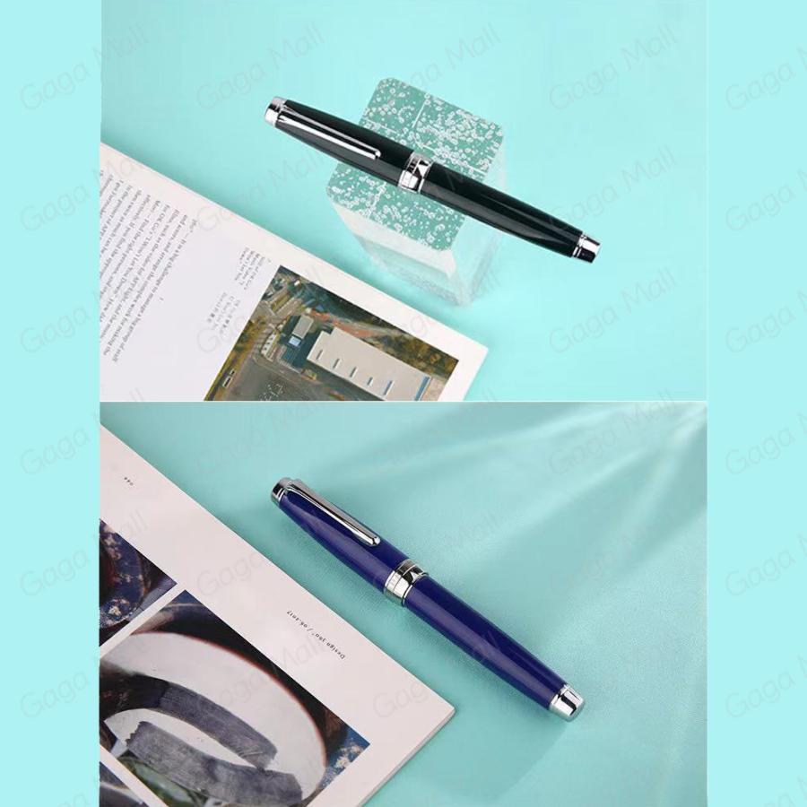 万年筆 ペン DELIKE EF極細字 0.38mm 筆記具 文房具 文具 コンバーター