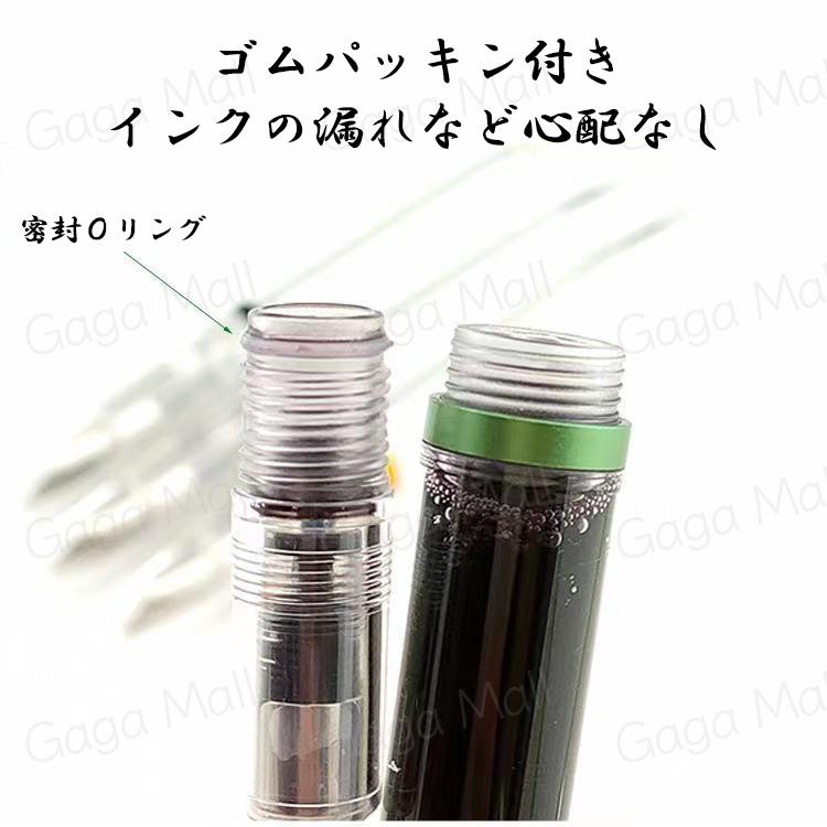 透明万年筆 ペン 初心者 子供用 透明軸 スケルトン オリジナル アイ