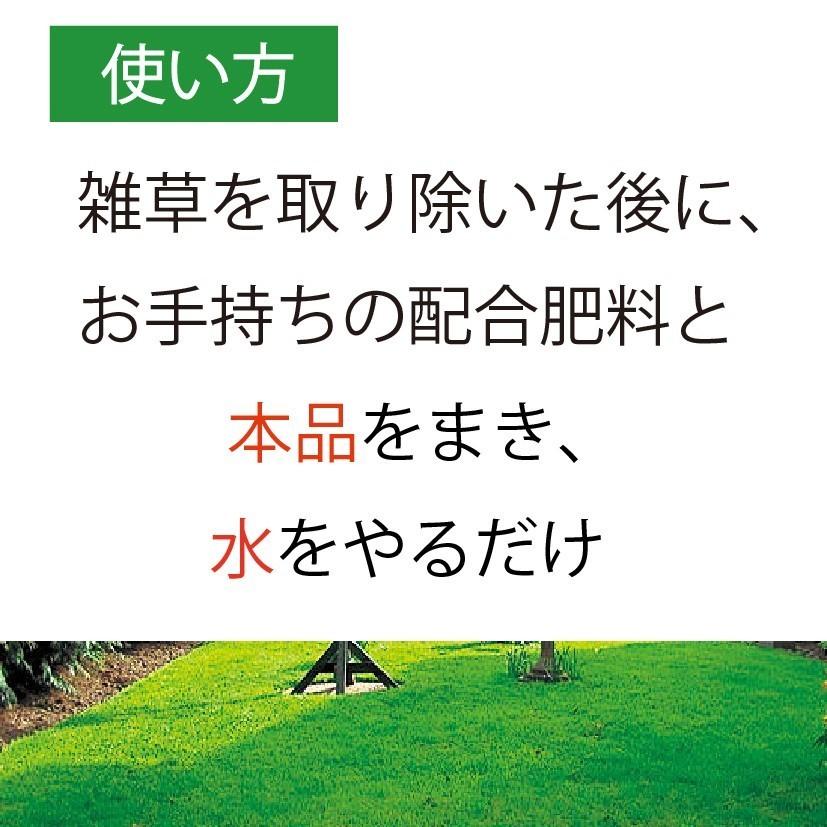 10袋組 西洋芝 種 夏に強い 4種類混合 天然芝生 庭 おしゃれ ガーデングラス 植え方や時期の説明付きで初心者ＯＫ　｜zinger｜06