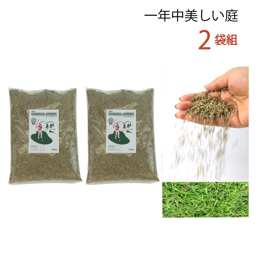 2袋組 西洋芝 種 夏に強い 4種類混合 天然芝生 庭 おしゃれ ガーデン