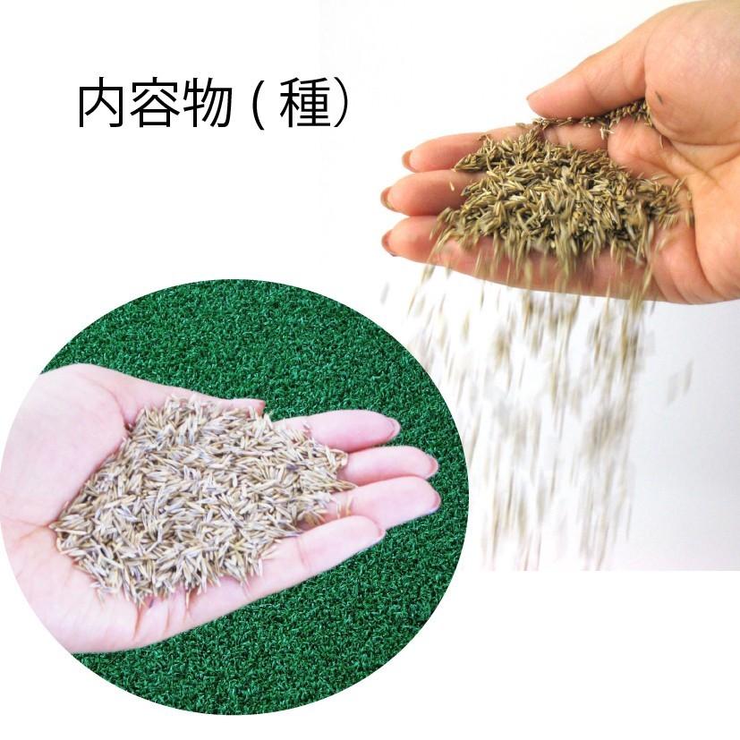 3袋組 西洋芝 種 夏に強い 4種類混合 天然芝生 庭 おしゃれ ガーデングラス 植え方や時期の説明付きで初心者ＯＫ　 | ブランド登録なし | 04