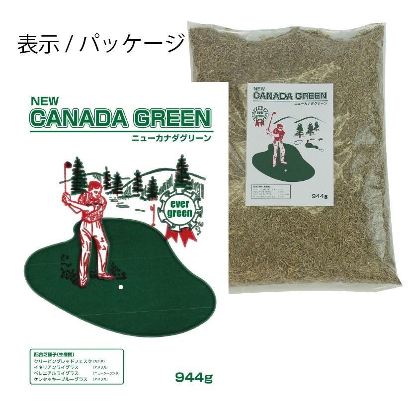 4袋組 西洋芝 種 夏に強い 4種類混合 天然芝生 庭 おしゃれ ガーデングラス 植え方や時期の説明付きで初心者ＯＫ　 | ブランド登録なし | 07