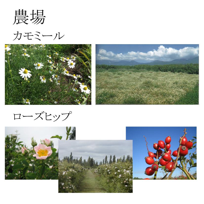 ルイボス エキナセア ハーブティーセット 72個 ティーバッグ 安眠 オーガニック ハーブティー ノンカフェイン 自律神経 お茶 効能 パック 睡眠 種類 リラックス Subaru005 雑貨のセレクトオリジナル 通販 Yahoo ショッピング