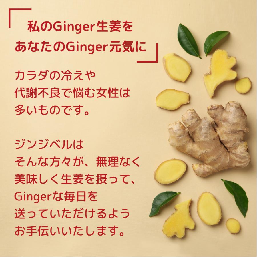 ほんきのしょうがおなかクッキー 2本組 |  | 05