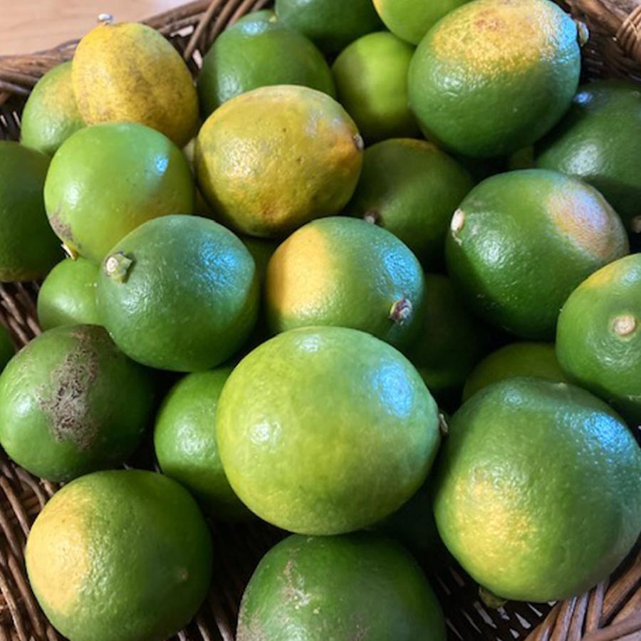 ほんきのしょうが糖 3種類2個ずつセット |  | 11