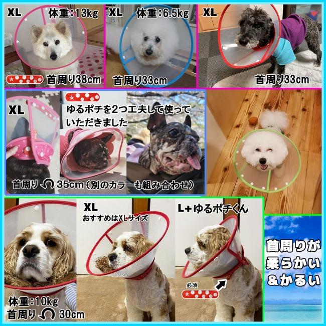 XLサイズ ゆるポチ選択 エリザベスカラー 猫 犬用 ソフト XLサイズ ゆるポチ選択 エリザベスカラー 猫 犬用 ソフト