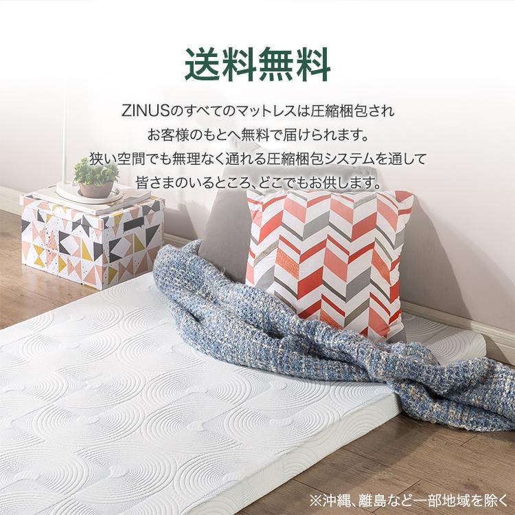 ZINUS Daily Sleep ダブルフォーム 低反発 TorsoTec マットレス
