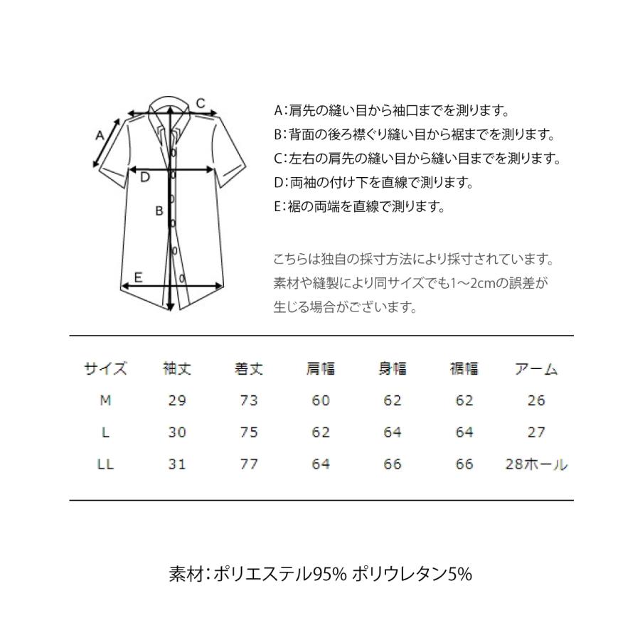 シャツ メンズ レギュラーカラーシャツ ファッション (146-6201) ＃｜zip｜10