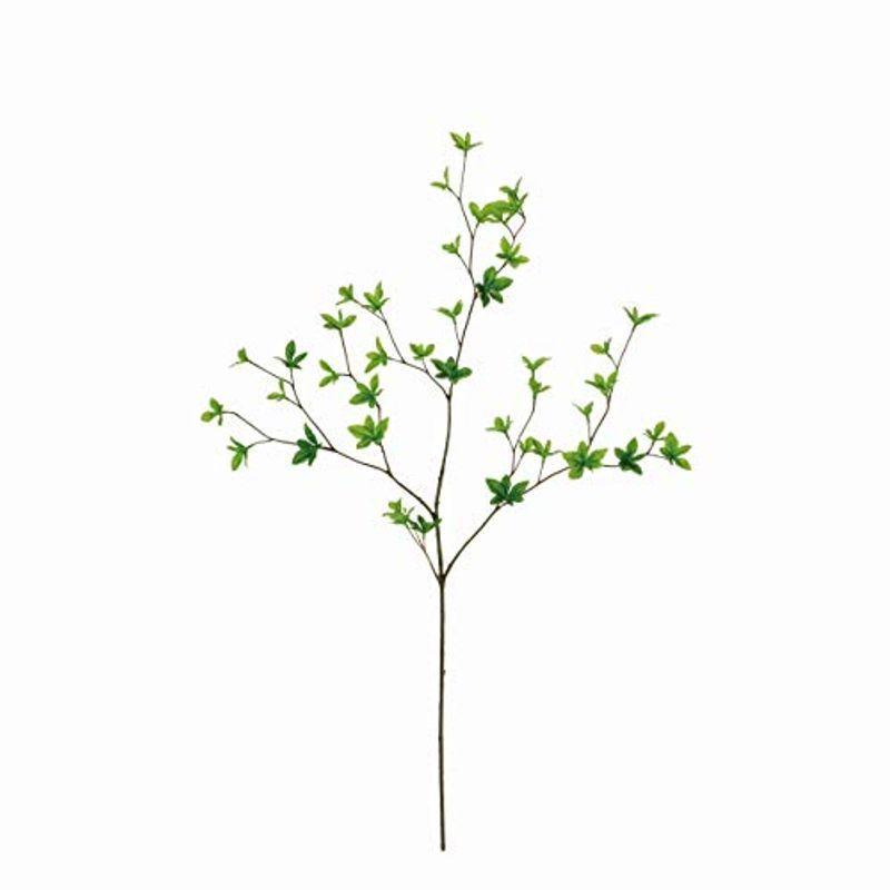 東京堂 アーティフィシャルフラワー 造花 ドウダンツツジ枝 小 グリーン Fg0071 1本 楽天市場 約3 5 長さ 葉の長さ 約84cm