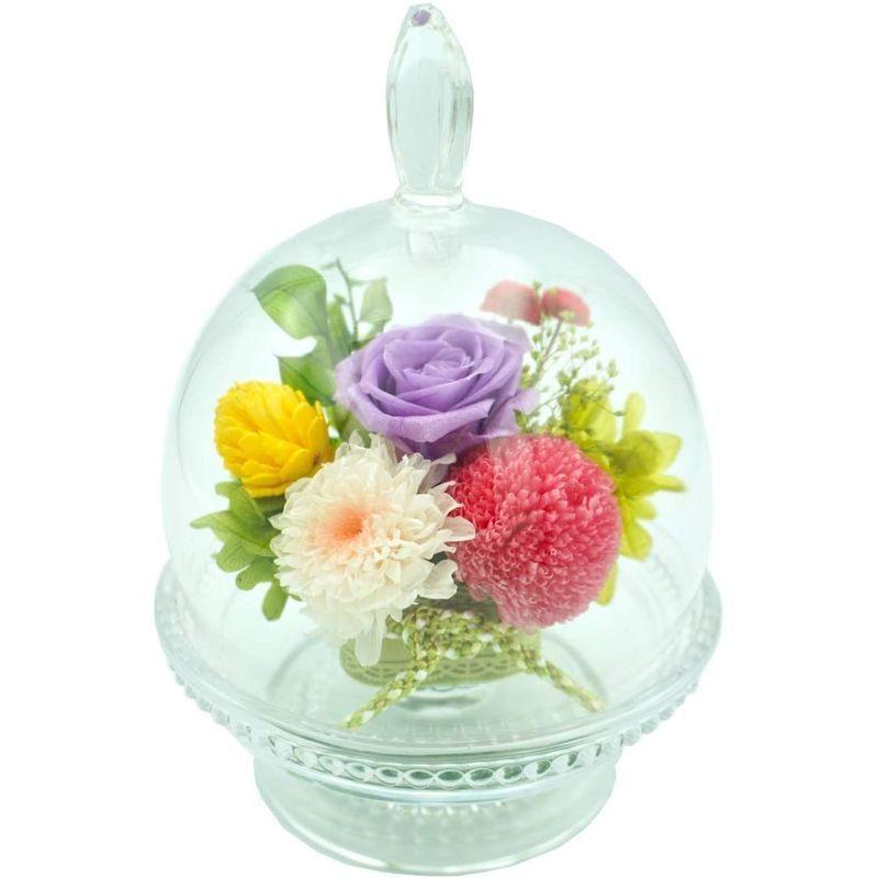 95 以上節約 Lagom プリザーブドフラワー 鈴華 お供え お盆 お彼岸 ドーム型 長持ち 枯れない花 インテリア 仏壇用 お悔み 仏花 盆 敬老 正月 Cisama Sc Gov Br