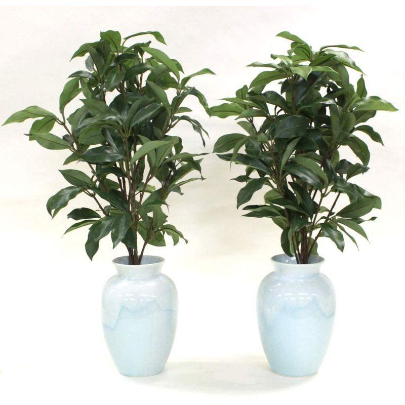 超激得sale 山久 造花 仏様のお供えに 樒 しきみ 中一対 50cm しきび おしきみ シキミ Ct触媒加工 1403 3147 シルクフラワー Babylonrooftop Com Au