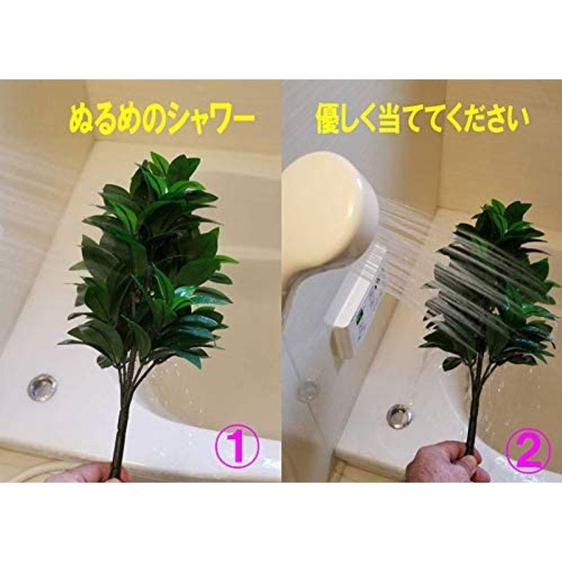 大きな割引 造花 おしきみ Mサイズ 約58cm 1本 洗えて長持ち シキミ 樒 シキビ Babylonrooftop Com Au