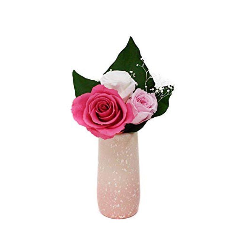 60 Off 保夢 Pomu ピンク 花器無し ペット お供花 プリザーブドフラワー 仏花 お盆 ギフト 専用 クリアケース 入り モダン Cisama Sc Gov Br
