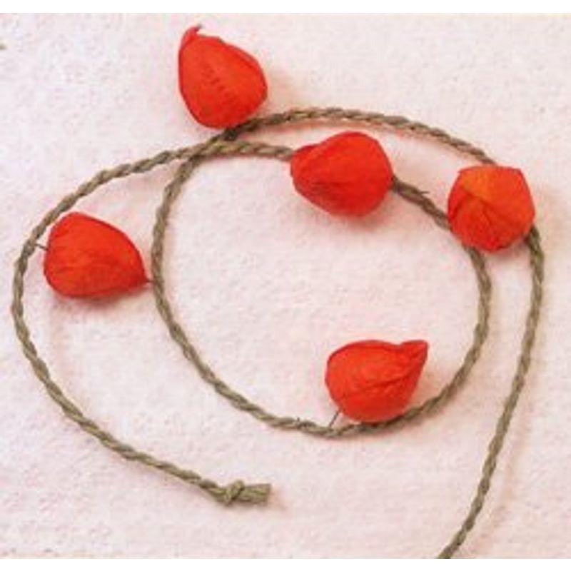 売れ筋ランキング 巾着 3点セット 巾着袋 コップ袋 女の子 男の子 かわいい Daddy Oh ブランド ダディオダディ アメカジ 通学 通園 デニム Supplystudies Com