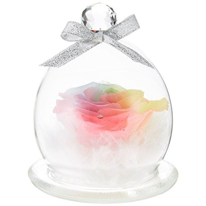 Sale 101 Off フローラルベビードール プリザーブドフラワー レインボーローズ ガラスドーム Cisama Sc Gov Br