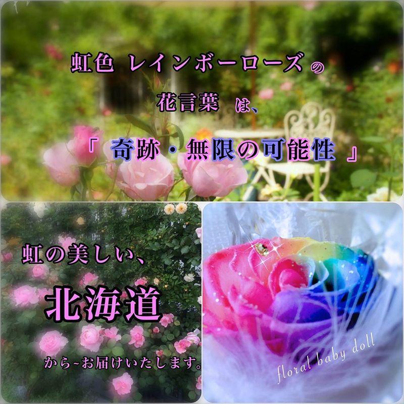 Sale 101 Off フローラルベビードール プリザーブドフラワー レインボーローズ ガラスドーム Cisama Sc Gov Br